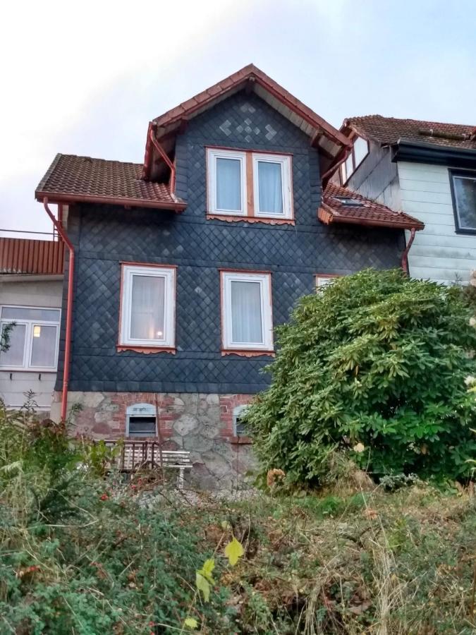 Villa Vakantiehuis Julia Bad Sachsa Exterior foto